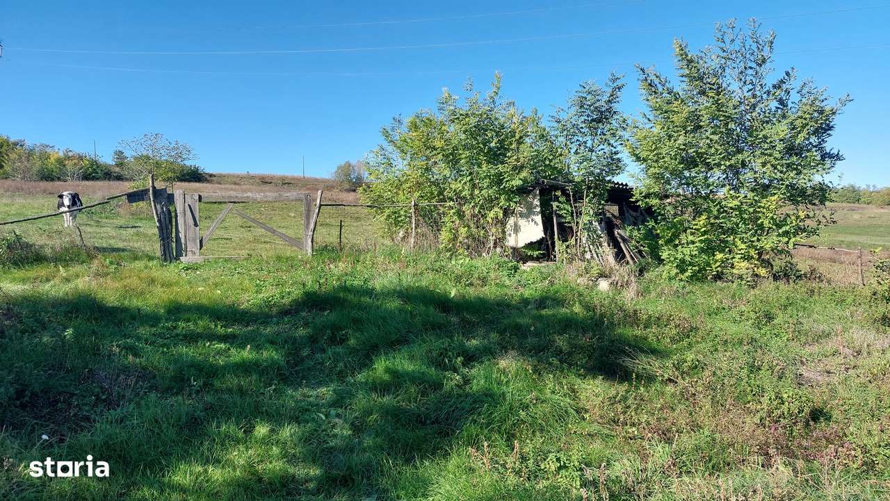 Casa cu teren, Manastireni - Imagine principală: 5/5