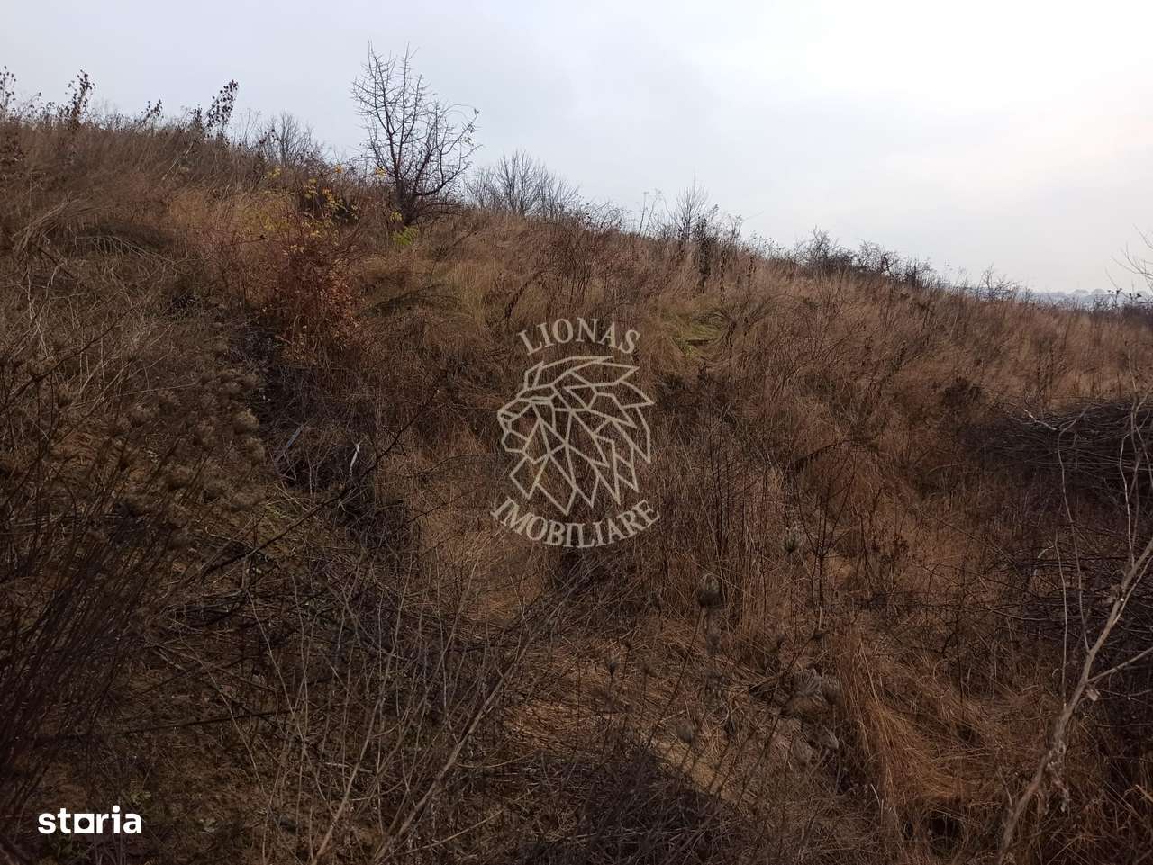 Teren intravilan 600 mp-ideal casa-Valea Sigmirului - Imagine principală: 3/7