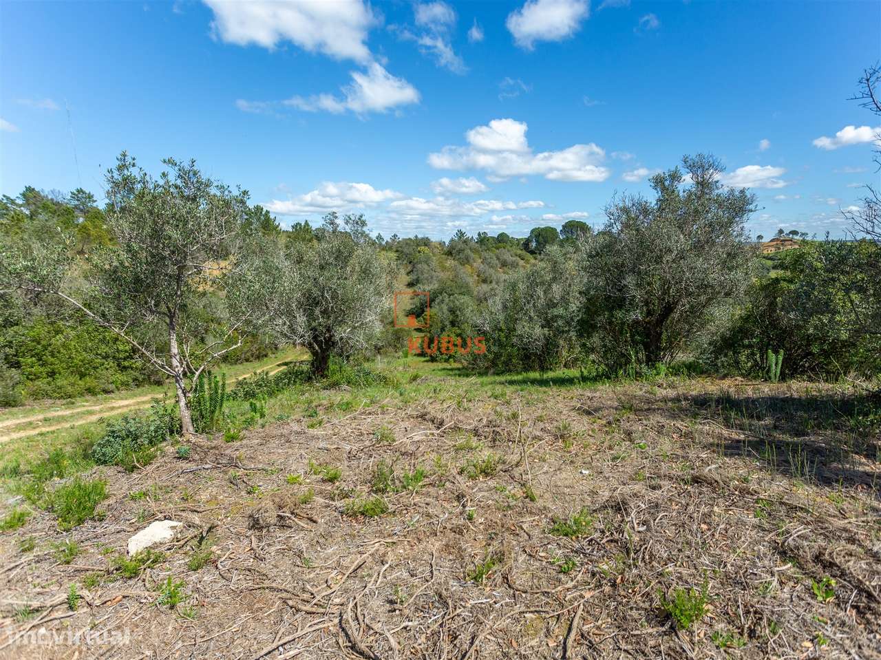 Terreno Rústico  Venda em Olaia e Paço,Torres Novas - Grande imagem: 4/11