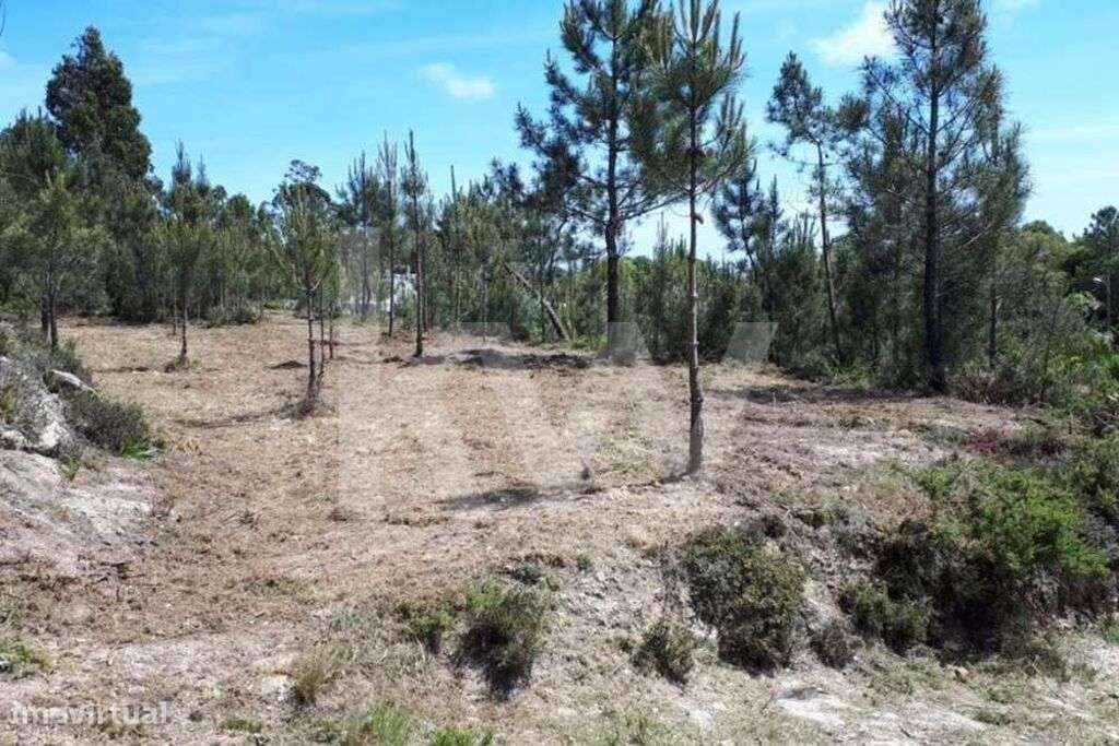 Terreno junto ao Belas Clube de Campo na Tapada de Vale de Lobos - Grande imagem: 5/9