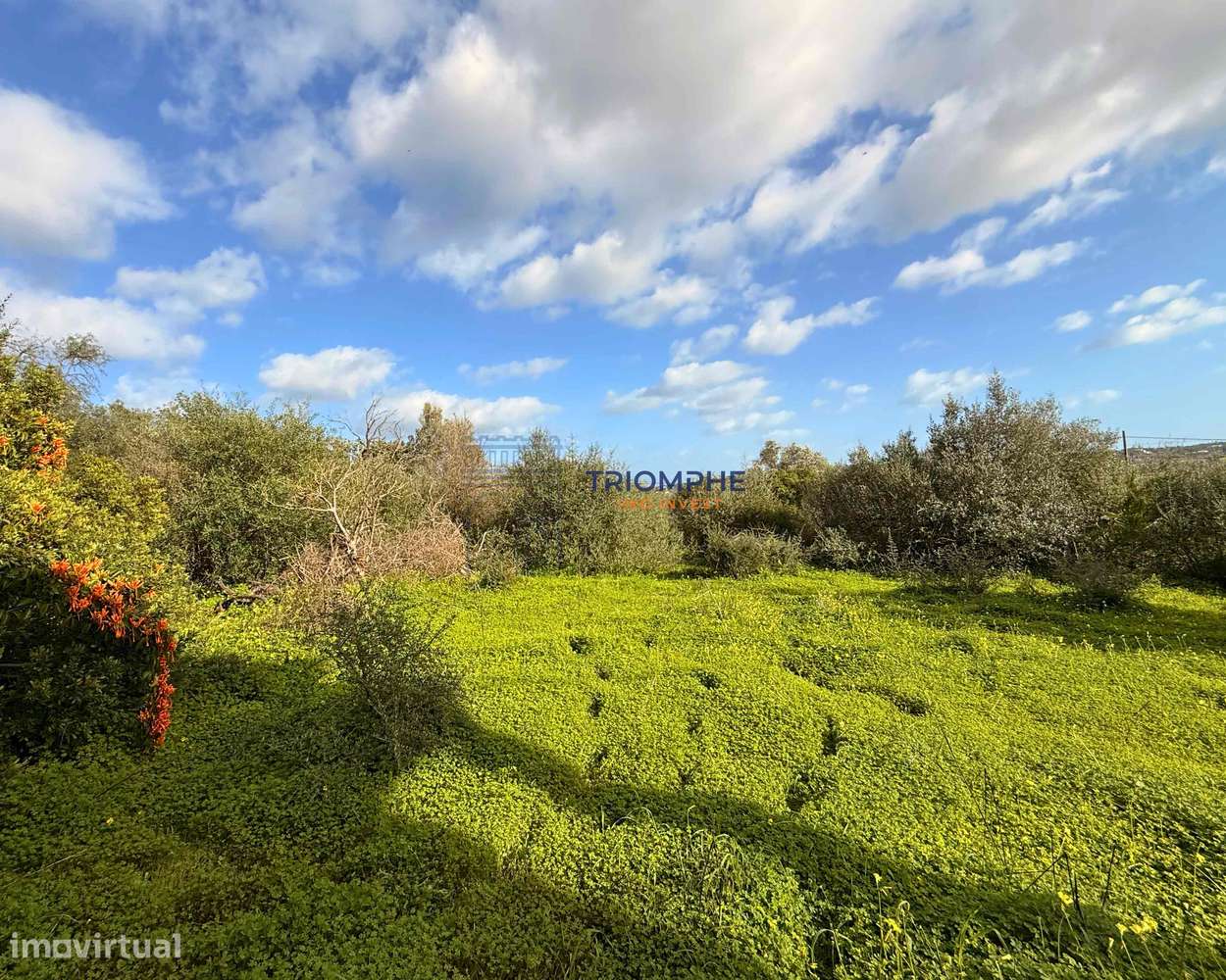 Terreno para Construção de 1.260 m² em Alcantarilha - Grande imagem: 5/6