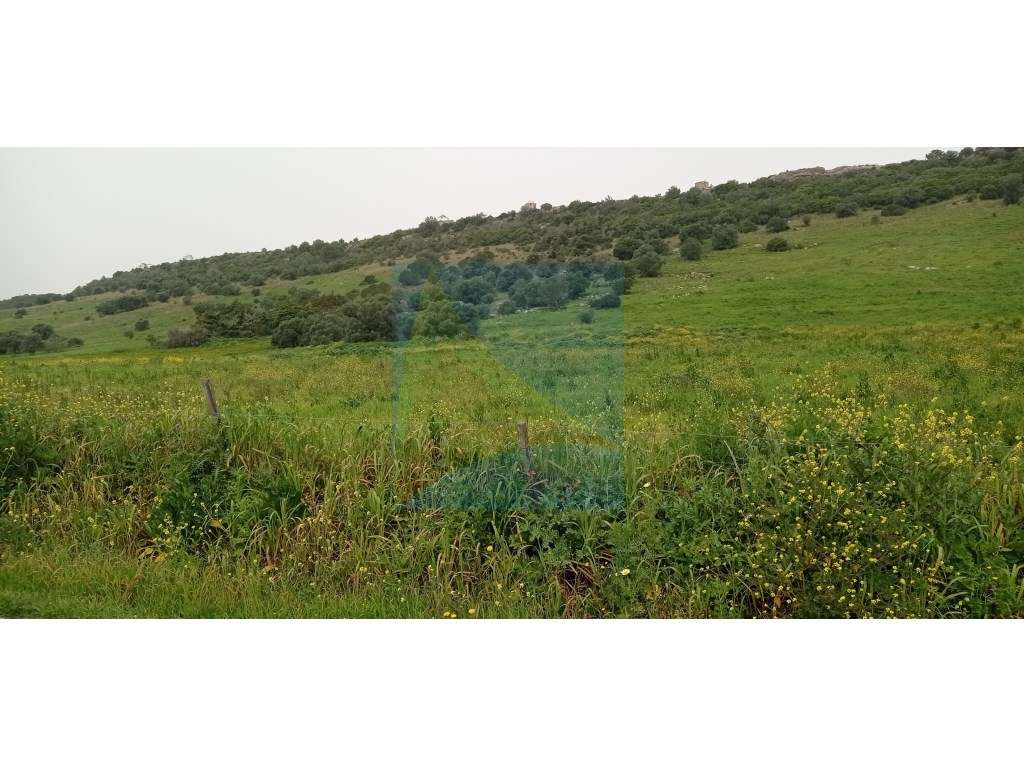 Herdade em Plena Serra da Arrábida 340.000 m2-12