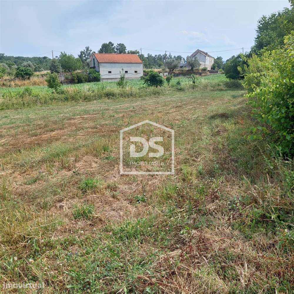 Lote de Terreno  Venda em Juncais, Vila Ruiva e Vila Soeiro do Chão,Fo-29