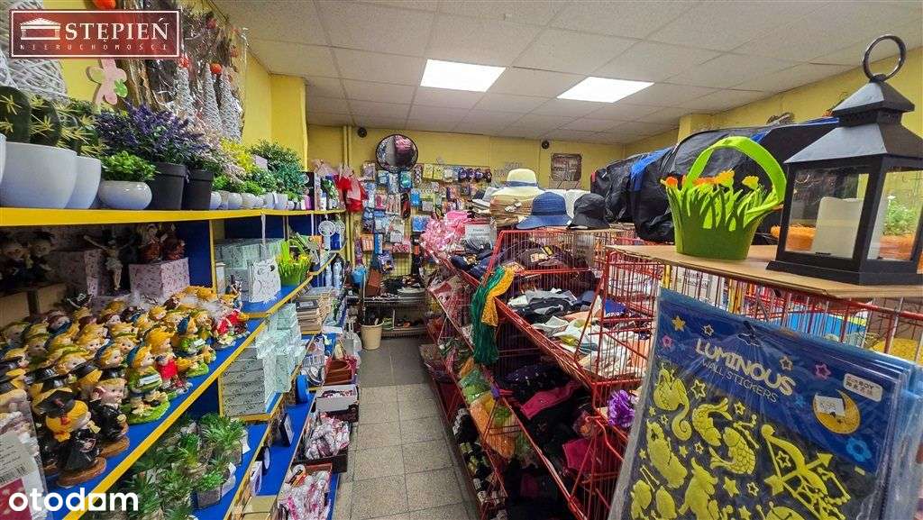 Prosperujacy biznes w Rynku w Bolkowie - Pełny obrazek: 5/10