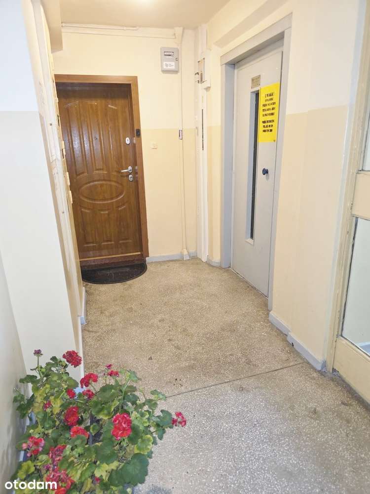 2-pokojowe mieszkanie na Zaodrzu w Opolu SPRZEDAM-15