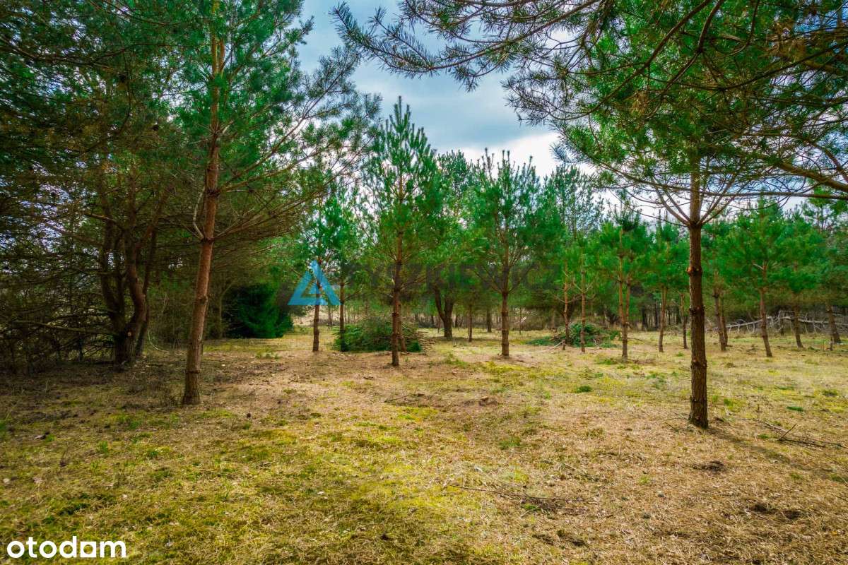Działka budowlana w bezpośrednim sąsiedztwie lasu! - Pełny obrazek: 3/20