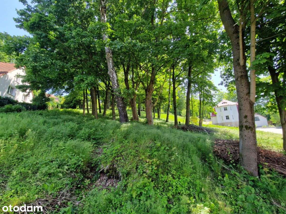 Działka z widokiem w zacisznej części uzdrowiska - Pełny obrazek: 4/5