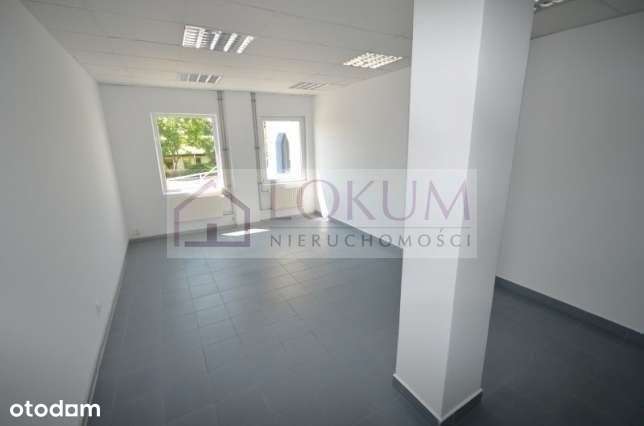 Hala/Magazyn, 300 m², Jastków - Pełny obrazek: 4/13