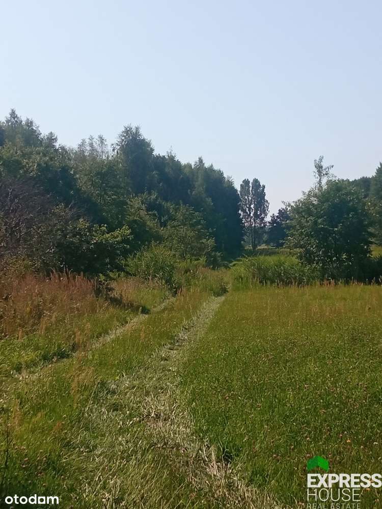 Działka rolna 3 km od Aleksandrowa Łódzkiego - Pełny obrazek: 1/4