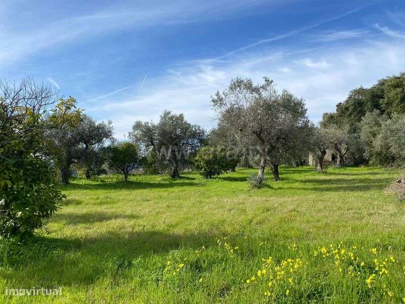 Quintinha / Fundão, Monte Leal - Grande imagem: 2/13