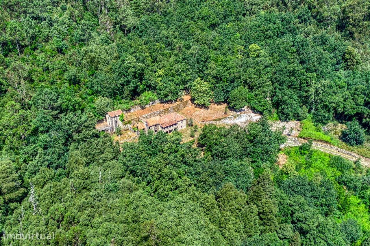 QUINTA NO VALE DO DOURO - 2 CASAS EM PEDRA, 11 HECTARES DE TERRENO-20