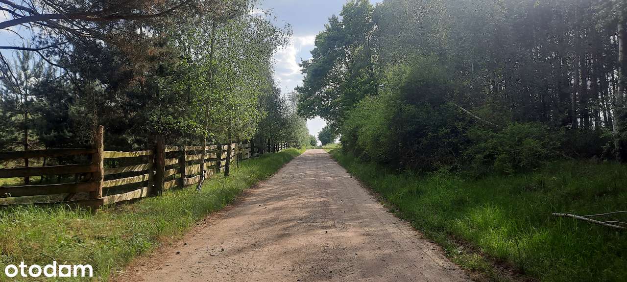 Działka SIEDLISKOWA 1MR  40km Poznań lasy jezioro blisko stadnina koni-14