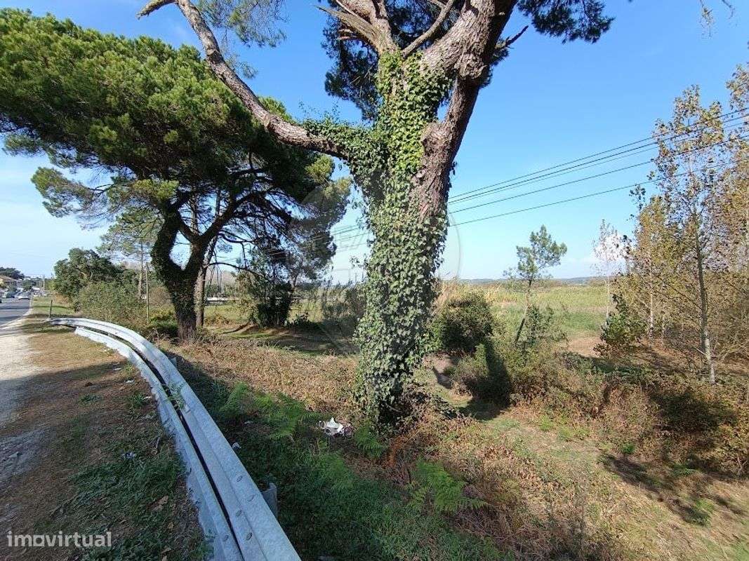 Terreno  para venda - Grande imagem: 2/10