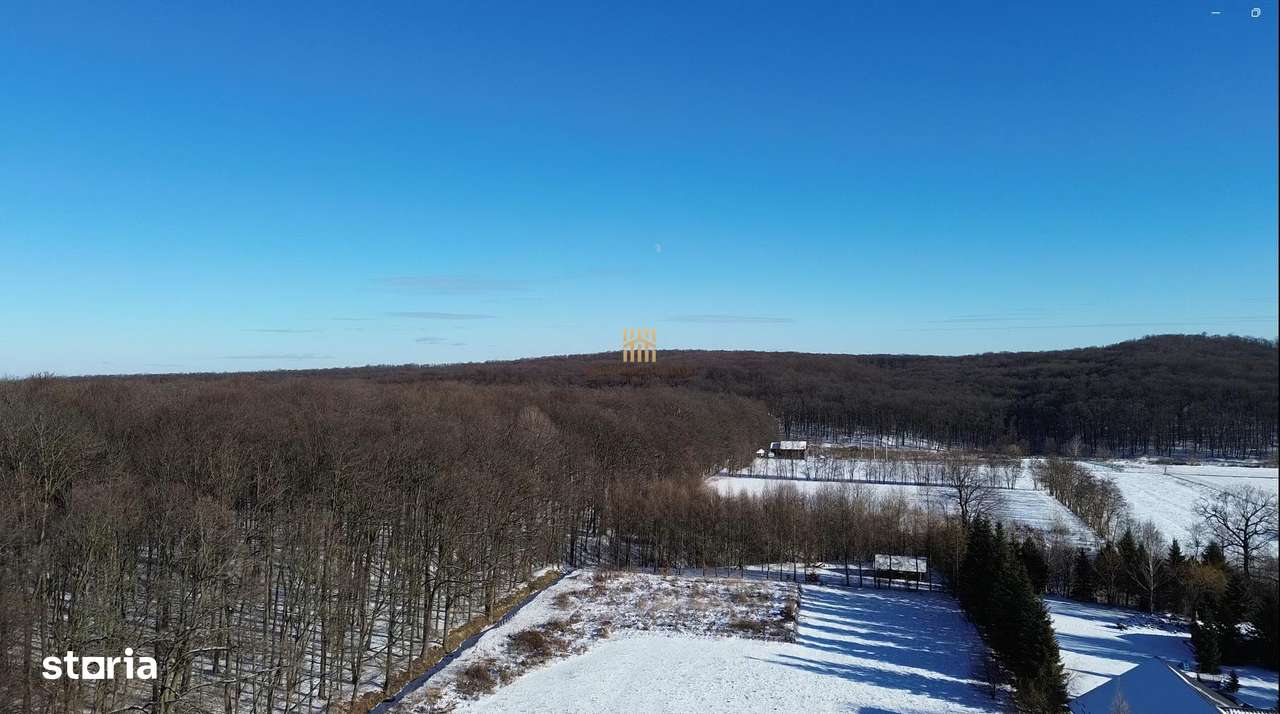 Teren Intravilan langa Padure 10.000 mp 1 hectar Suceava - Imagine principală: 5/13