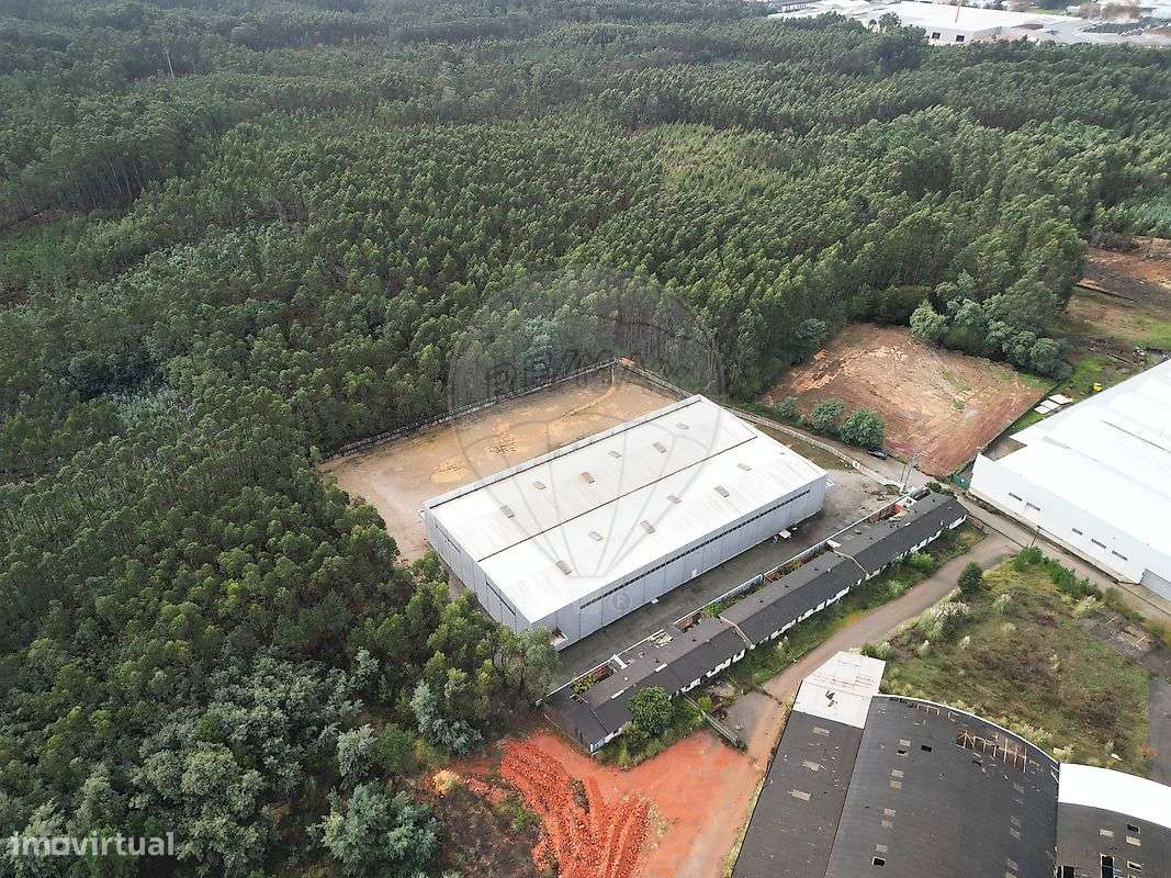 Armazém  para arrendamento - Grande imagem: 5/16