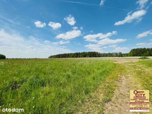 Działka budowlana 1150m2, Nagórki Jabłoń - Pełny obrazek: 4/10