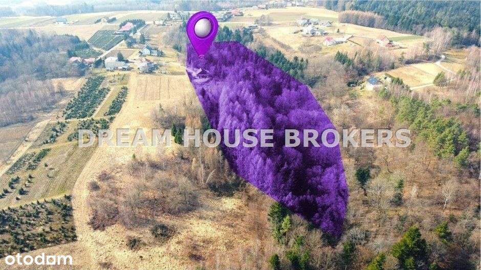 Siedlisko na sprzedaż w Jasienicy Rosielnej + las - Pełny obrazek: 5/20