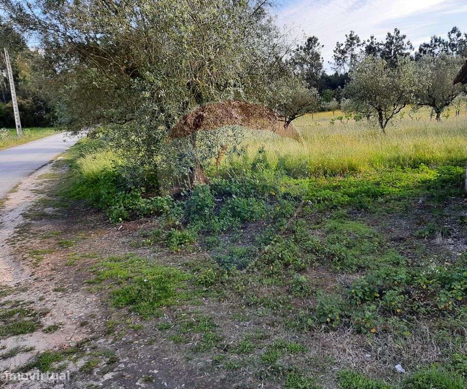 Terreno  para venda - Grande imagem: 2/12