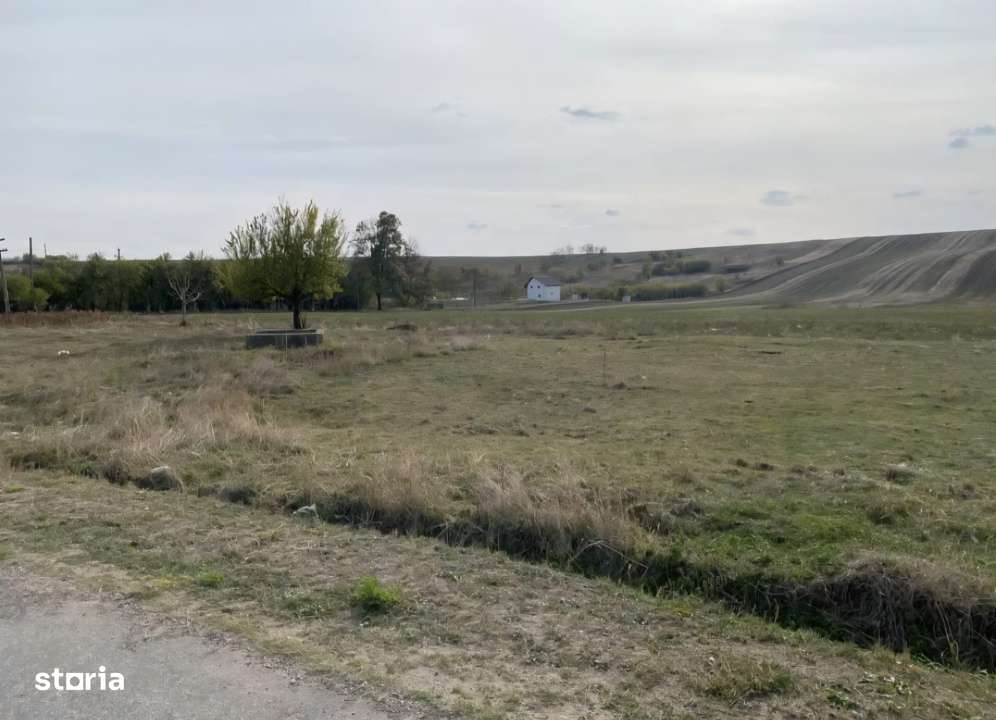 Teren extravilan 5000mp, Malu Mare, 0 comision la cumparator - Imagine principală: 2/2