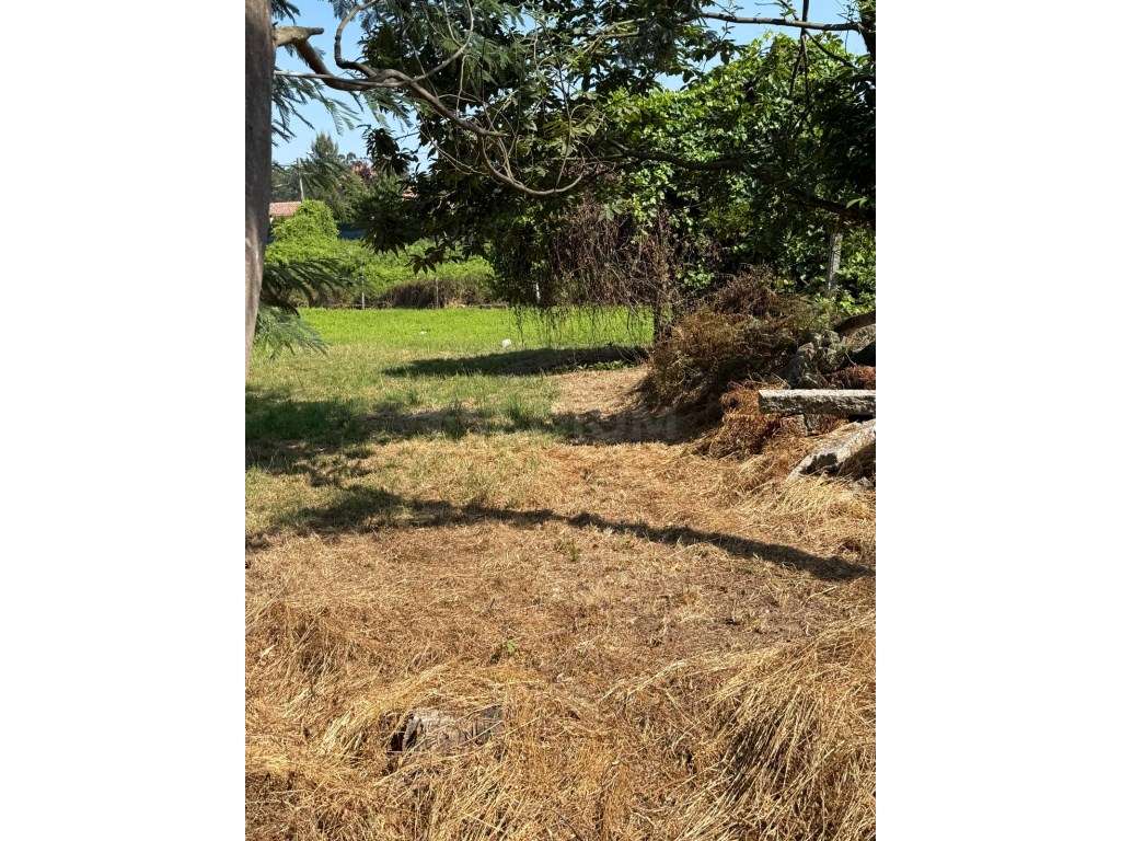 Terreno para construção em Lemenhe.-17