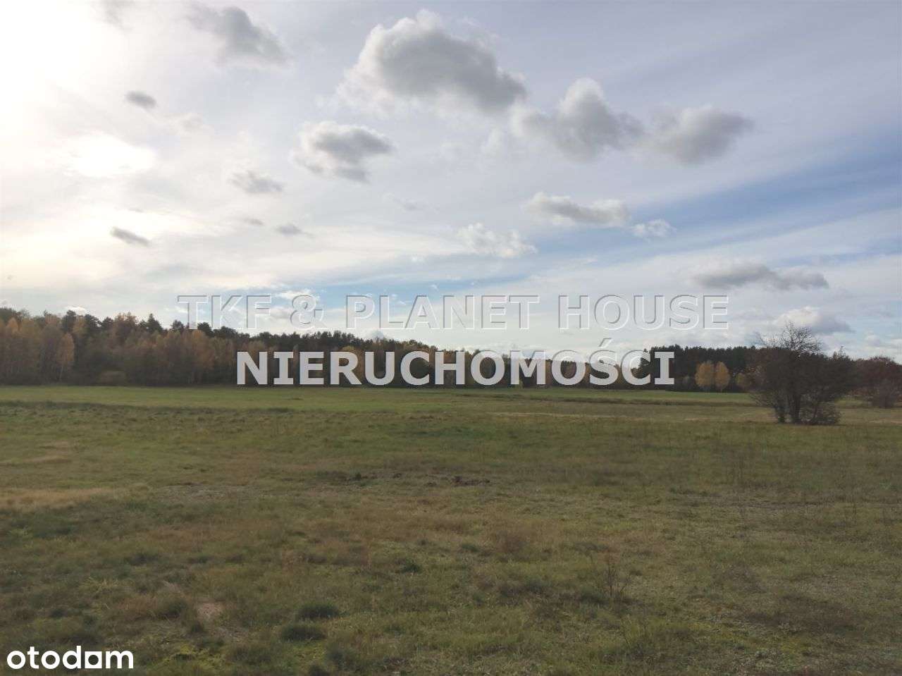 Działki na sprzedaż 9412 m2 Wincentynów gm. Sławno - Pełny obrazek: 5/7