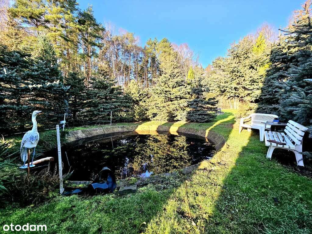 Dom pod samym lasem w Dobrej na dużej działce!-6