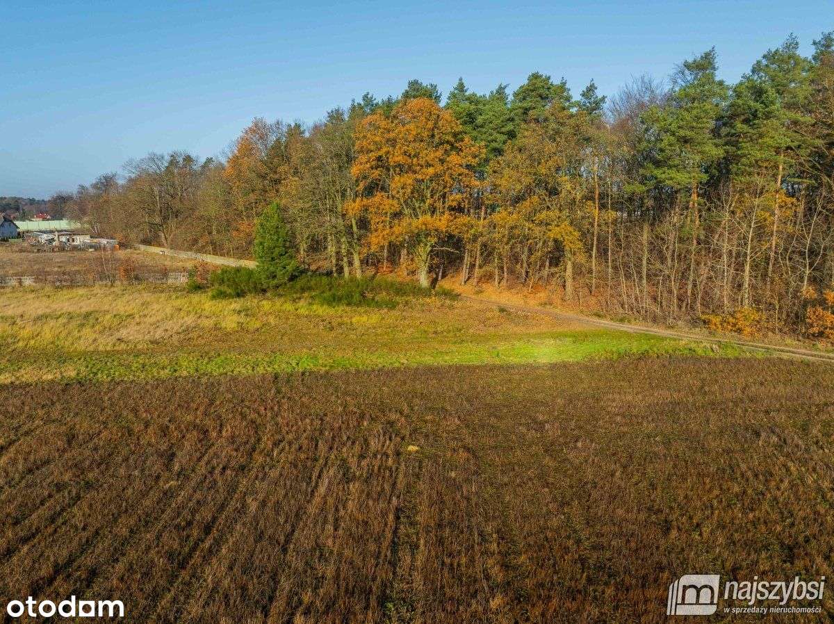 Nowogard - obrzeża, miejscowy plan - Pełny obrazek: 5/20