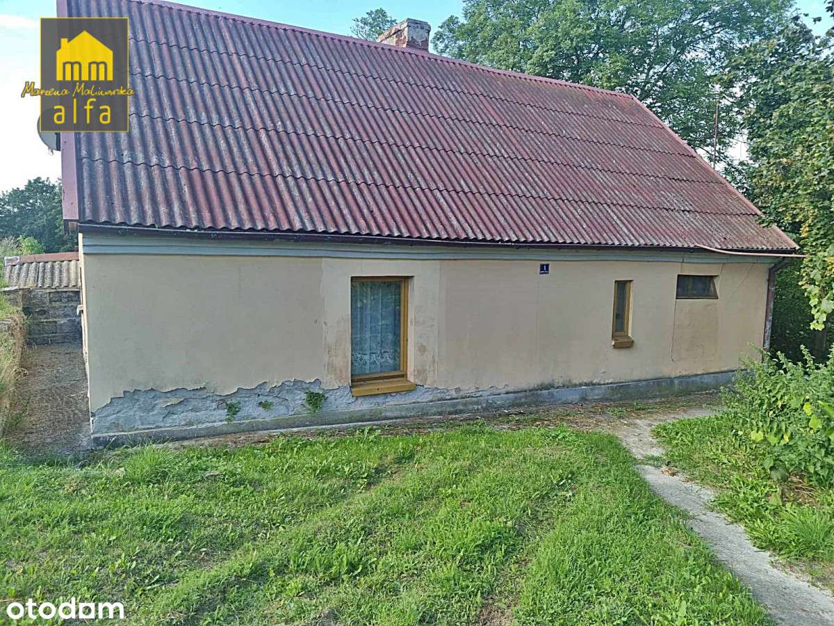 Nowe*Nowy Świat*Działka 3773m2*OD Zaraz-10