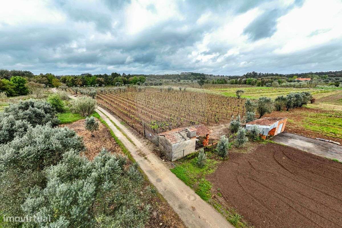 Terreno  para venda - Grande imagem: 5/16