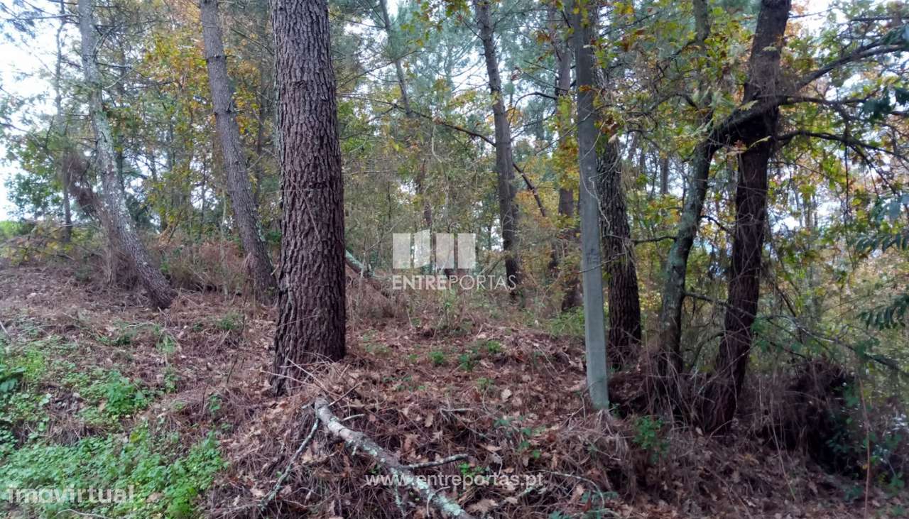 Venda Terreno c/ possibilidade de construção e área de 34000 m2, Lo - Grande imagem: 4/28