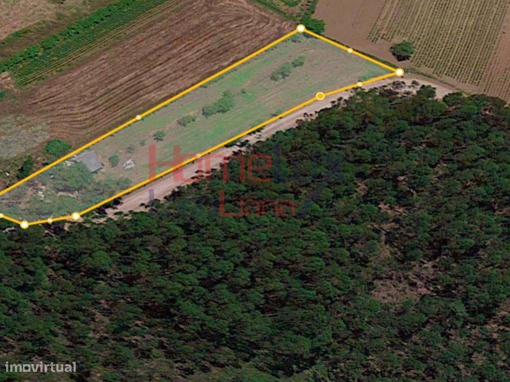 Terreno c/ 1 770 m2 de área e 100 m de frente p/ construção em Trav... - Grande imagem: 4/4