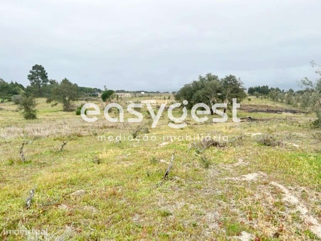 Terreno com 19.585 m2, localizado na Asseiceira, Poceirão - Grande imagem: 4/7