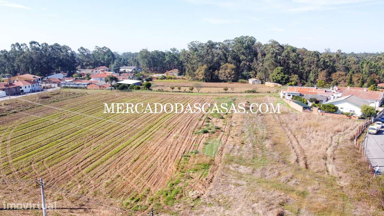 Terreno c/ 16,560m2 - São Miguel de Souto-7