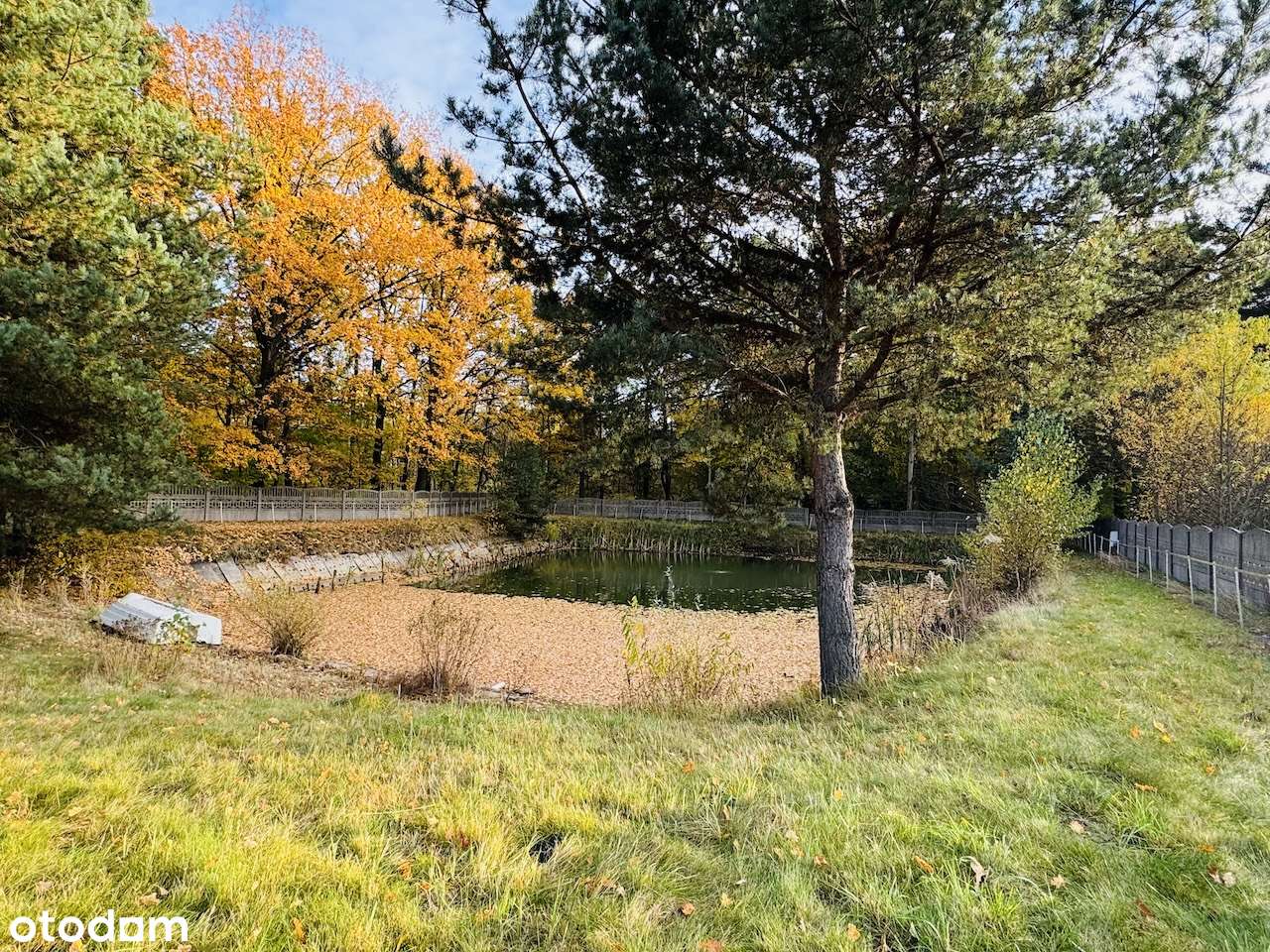 Duży dom z ładną działką ze stawem przy lesie-potencjał aranżacji-7