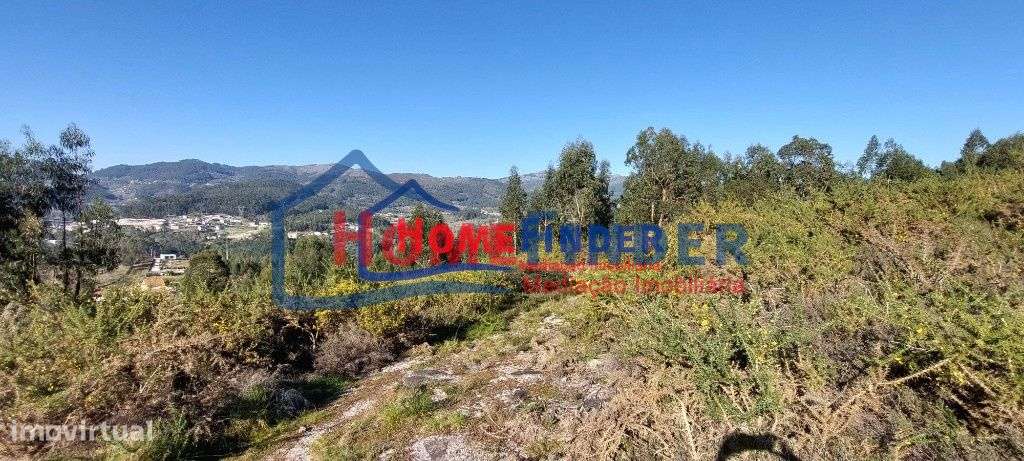 Bouça com 15.000 m² - Póvoa de Lanhoso - Grande imagem: 5/20