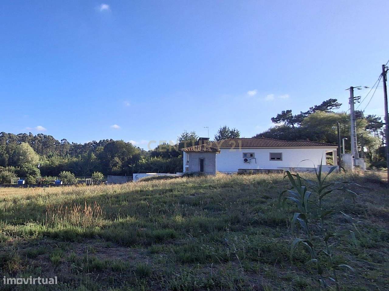 Terreno em Oiã com Vista Campestre, acessos e próximo do centro - Grande imagem: 4/10