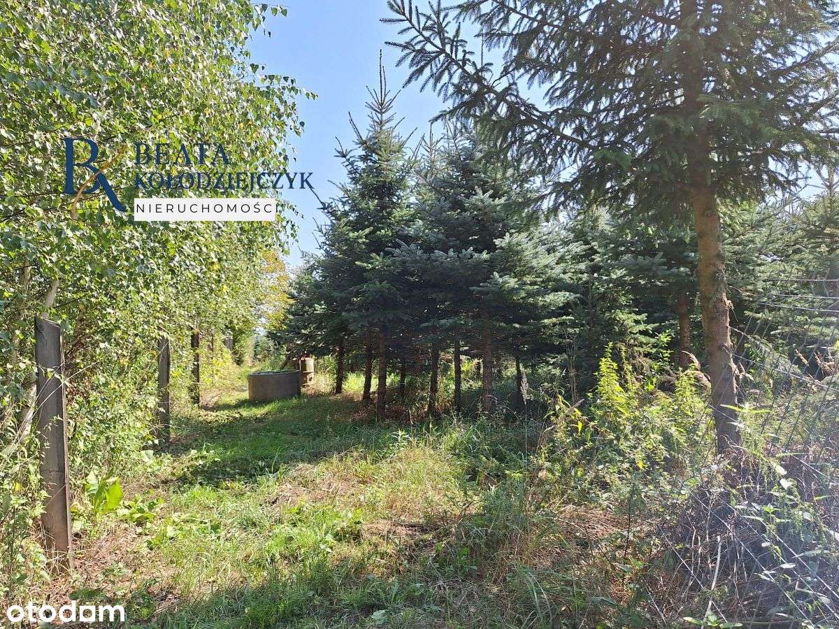 Nowa Wólka gm. Spiczyn, dom plus działalność - Pełny obrazek: 5/17