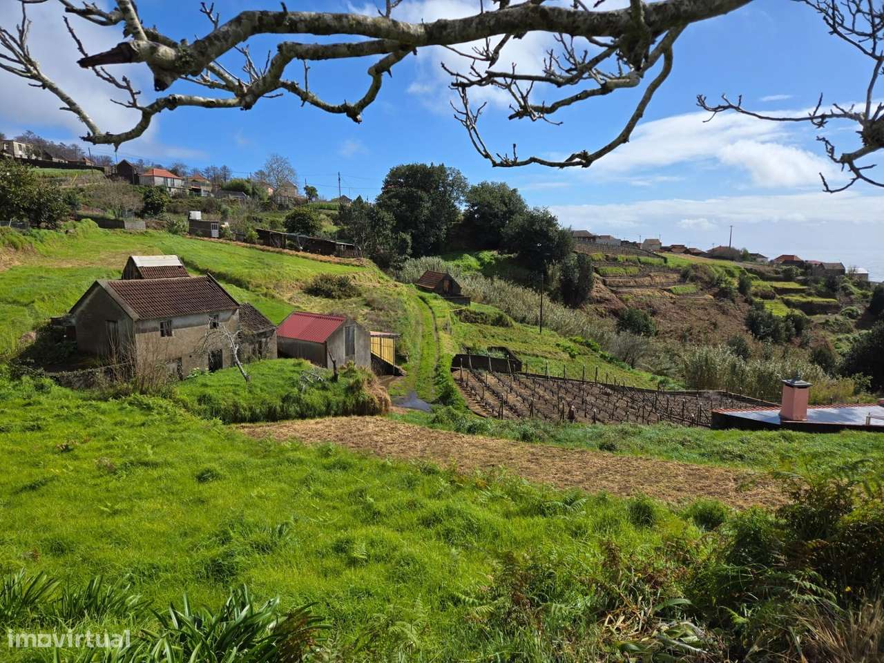 Fajã da Ovelha - O seu Refugio na Madeira-13