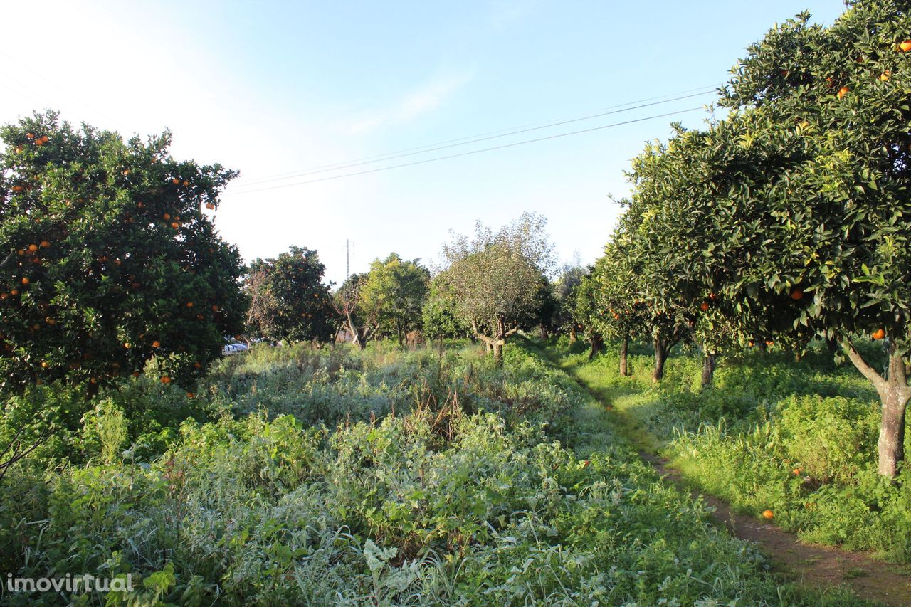 Terreno Industrial, Golegã