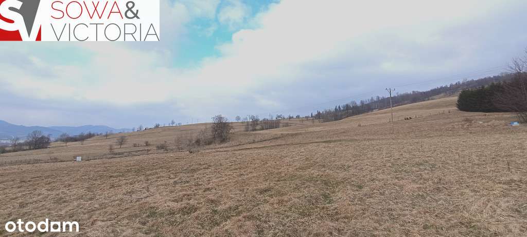 Słoneczna, widokowa działka budowlana w Głuszycy - Pełny obrazek: 4/6