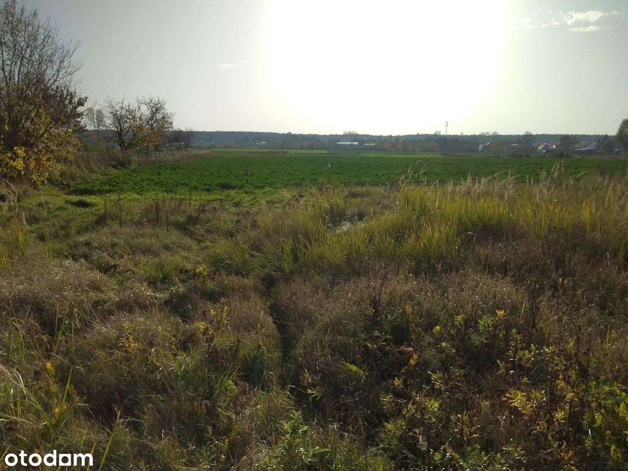 Działka z potencjałem – 2201 m² – Boleszkowice-1