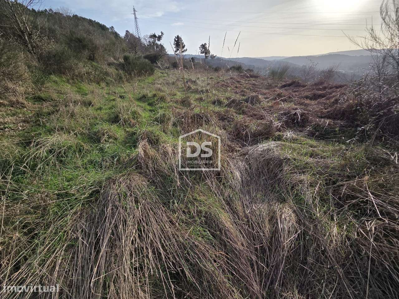Lote de Terreno  Venda em Granja Nova e Vila Chã da Beira,Tarouca-5