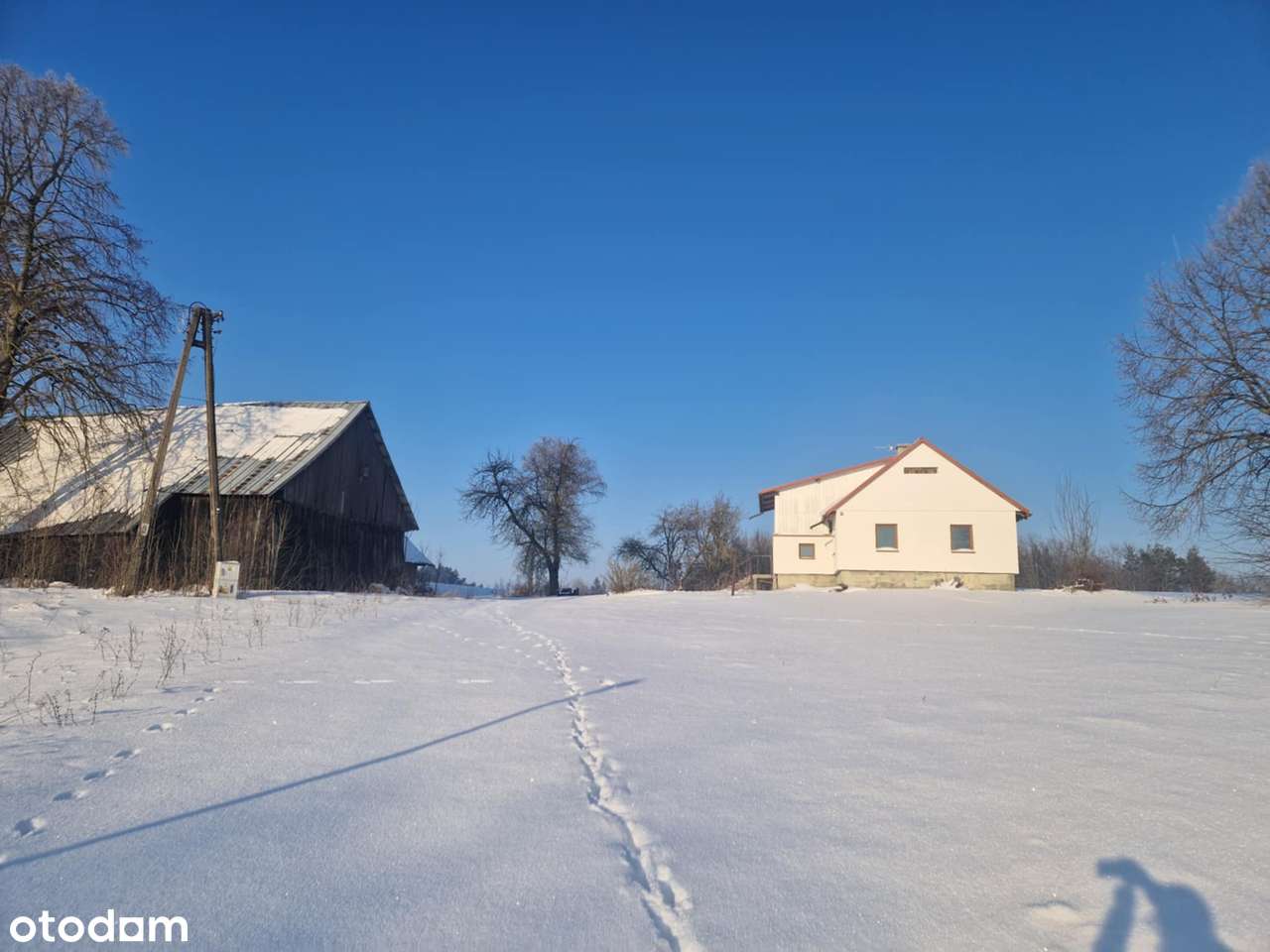 Siedlisko przy granicy Litewskiej, okolice Ogrodnik i Sejn - Pełny obrazek: 5/13
