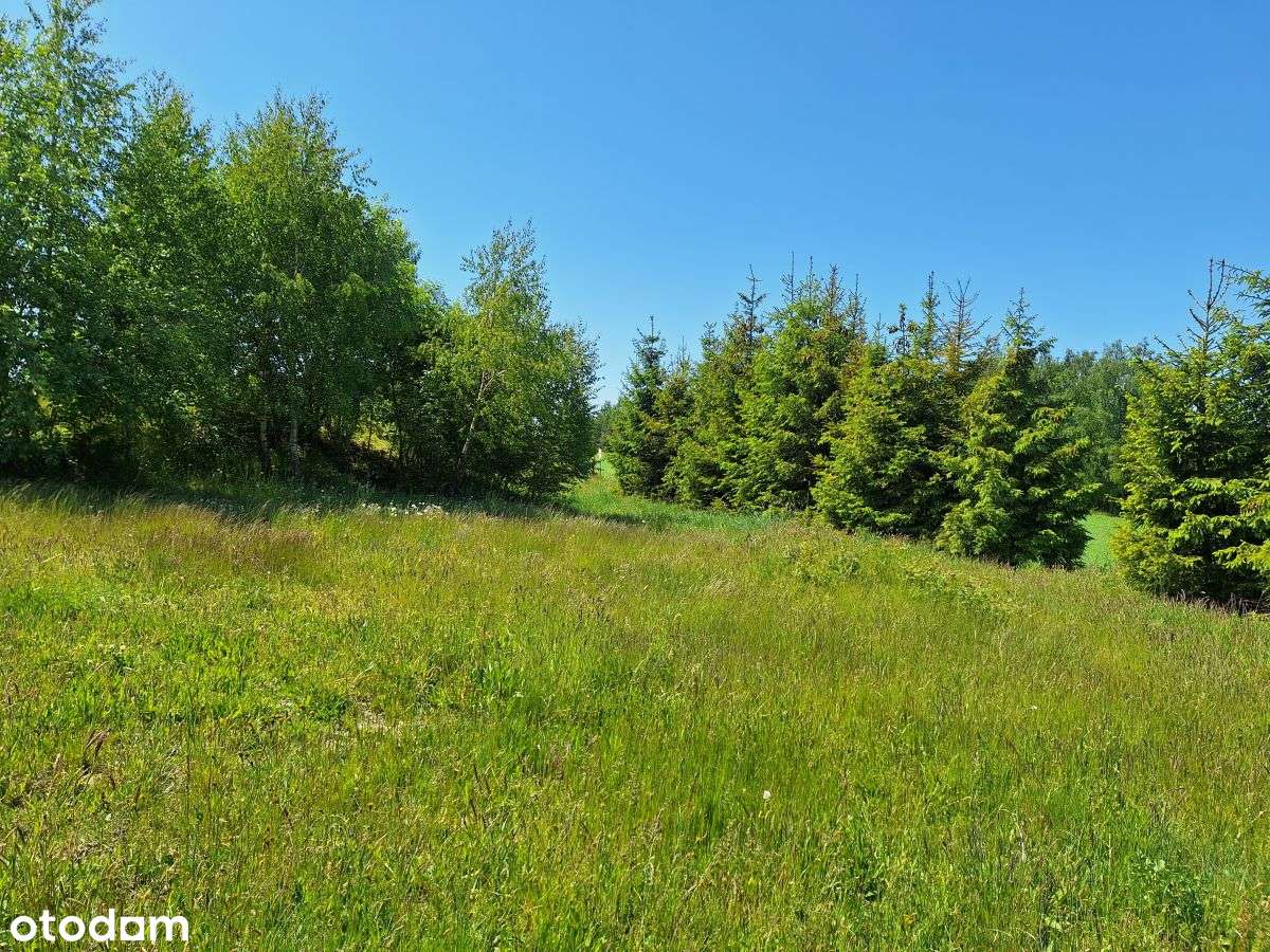 Działka budowlana w zaciszu Małkowa - Pełny obrazek: 3/10