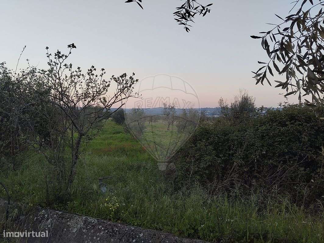 Terreno  para venda - Grande imagem: 2/3