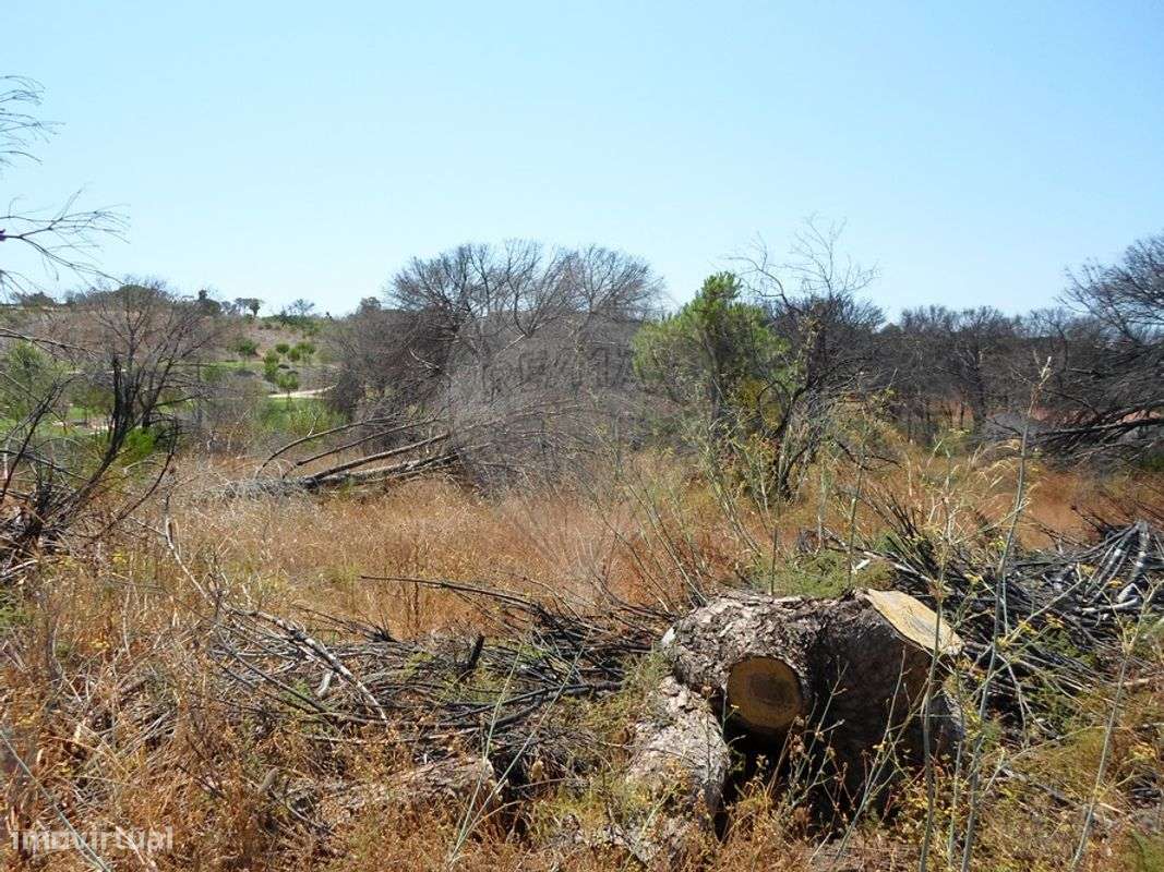 Terreno  para venda - Grande imagem: 2/9