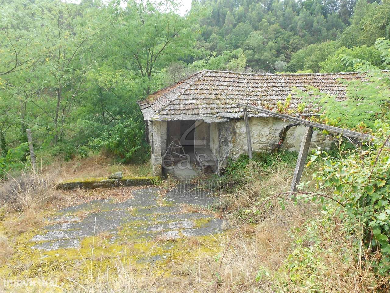 Quinta para Turismo Rural - Grande imagem: 2/60