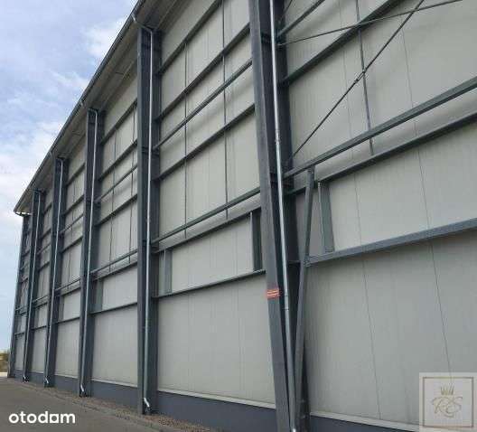 Gądki Robakowo wolne hale do wynajęcia - Pełny obrazek: 4/5