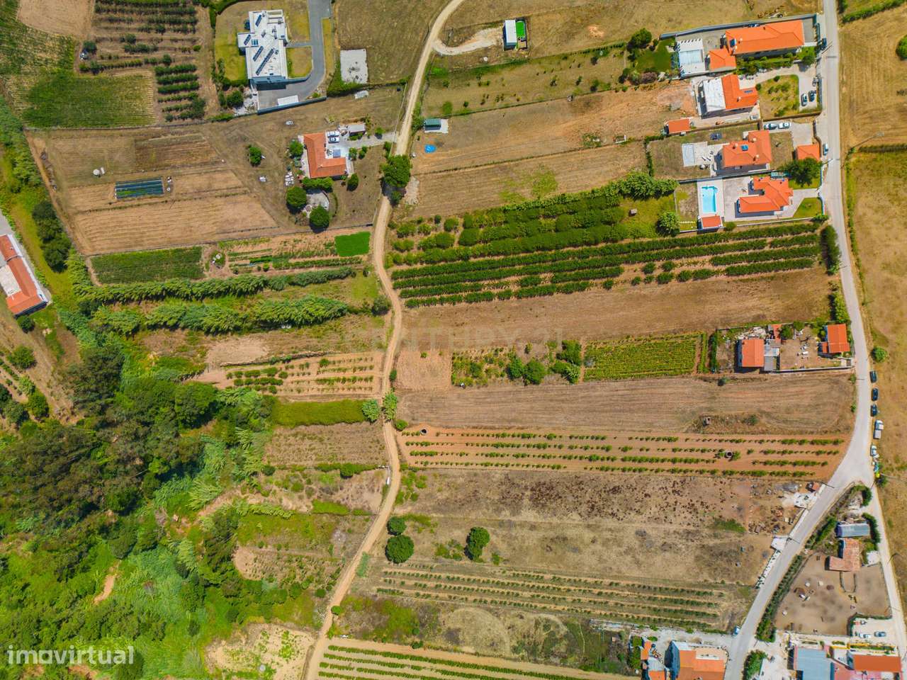 Terreno na Usseira-19