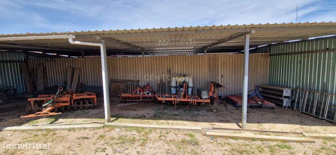 Herdade de 62 Hectares no Coração do Alentejo – Évora  - Agricultura --11